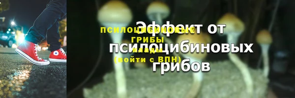 ПСИЛОЦИБИНОВЫЕ ГРИБЫ Абаза