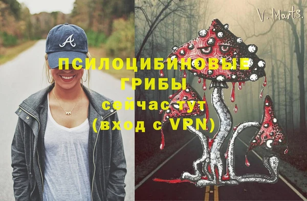 прущий лед Алексеевка