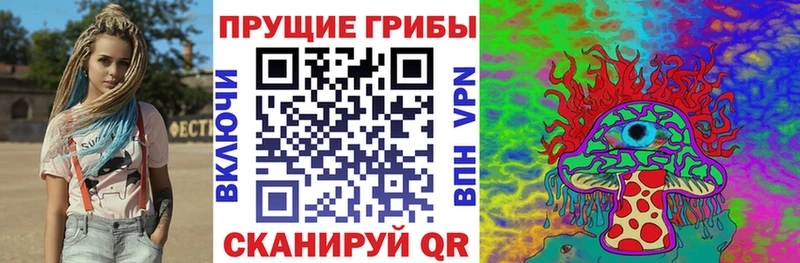 Галлюциногенные грибы Cubensis Касли